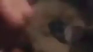 ريم اللبوه شرموطة الجمهوريه بتتناك من زبون يصورها ويفضحها