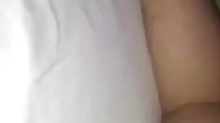 الحمار العربي