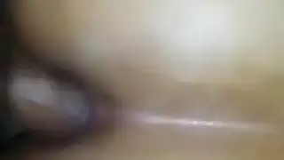 تقليم