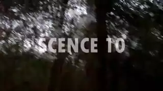 عودت مع بعض الأفلام الجديدة