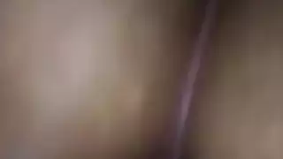 الحمار العربي سخيف