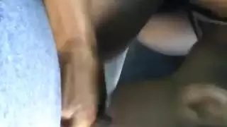 رقبة الديك الرومي