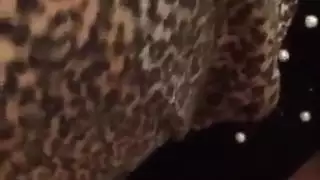 اللسان الحجاب التركي