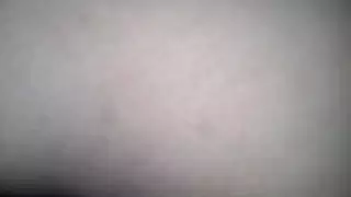 الحمار الرطب الساخنة