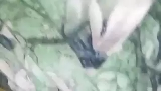 نيك الخلفي جامد