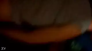 ق الأسد العربي