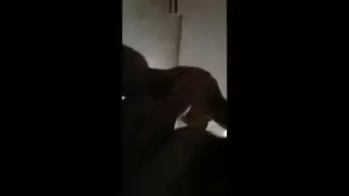 أجمل نيك مع بنت الامارات المتولعة