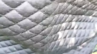 جنسي ساخن الفيديو الاباحية الهندي