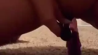 الجبهة العربية ارضاء نفسها مع لعبة