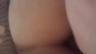الشرج العربي في فرنسا