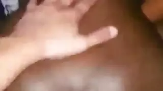 الأبنوس تربية العربية