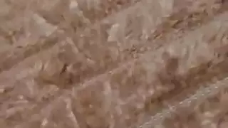 قرب كس الإناث منفردا الاستمناء التمتع