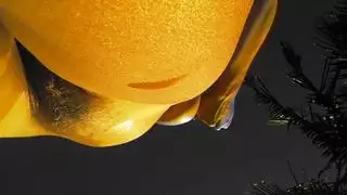 ميسي اليوبيل البرية في الهواء الطلق الروعة الروعة