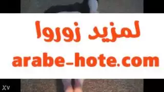 الحمار الساخنة العربية المغرب