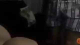 أرنب تركي يظهر ثدييه على المنظار
