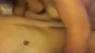 الكازال التركي إذا لم يظهر المنظار