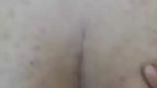 الحمار صديقته الإيرانية