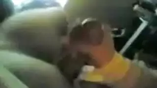 بلدي التركية تلعب مع الديك