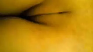 الأصل
