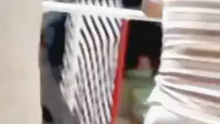 العربية التونسية الحمار الكبير