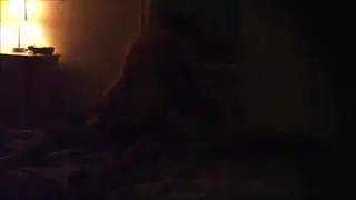 العربية السمينة الساخنة تحب قضيبي وركوبه، إنها مثيرة كما لم يحدث من قبل